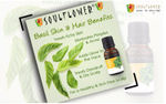 Buy Soulflower Essential Oil Basil (15 ml) - Purplle