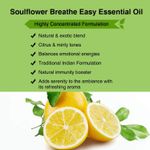 Buy Soulflower Essential Oil Breathe Easy (15 ml) - Purplle