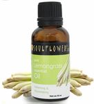 Buy Soulflower Essential Oil Lemongrass (15 ml) - Purplle