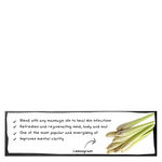 Buy Soulflower Essential Oil Lemongrass (15 ml) - Purplle