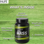 Buy INLIFE Muscle Mass Gainer Protein Powder with Whey Protein – 1 Kg (Chocolate) - Purplle