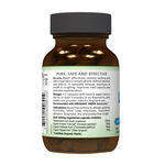 Buy Organic India Breathe Free 60 Capsules Bottle - Purplle