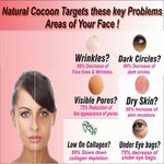Buy Zenvista Natural Slik CocoonNatures Anti Agening Wrinkleremoving Product (10 g) - Purplle
