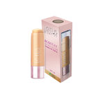 Buy Lotus Make-Up Ecostay Spot Cover All In One Make-Up Stick SPF 20 - Rich Shell - Purplle