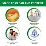Buy Hygiene Combo (Dettol Handwash Re-energize 200ml, Handwash 175ml) - Purplle