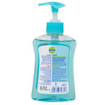 Buy Dettol pH-Balanced Germ Protection Liquid Handwash Pump , Cool - 200 ml with Dettol Liquid Handwash Refill Pouch (175 ml) - Purplle