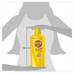 Buy Sunsilk Nourishing Soft & Smooth Shampoo (650 ml) - Purplle