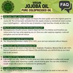 Buy Morpheme Pure Virgin Golden Jojoba Oil (ColdPressed) For Hair, Body, Skin Care (120 ml) - Purplle