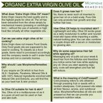Buy Morpheme Organic Extra Virgin Olive Oil (Pure ColdPressed Oil) For Hair, Body, Skin Care, Massage, Eyelashes (120 ml) - Purplle
