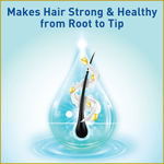 Buy Clinic Plus Hair Oil Small Bottle - Purplle