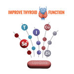 Buy NutroActive LipoQuick Bullet 30 tablets, fat burner, thyroid supplement ,weight management product (30 Tablets) - Purplle
