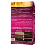 Buy Schwarzkopf Palette Deluxe Intense Oil Care Color 3-0 Dark Warm Brown (115 ml) - Purplle