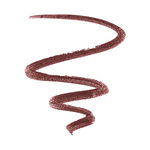 Buy L'Oreal Paris InfallibleAA Never fail Lip liner 807 Brown (2.5 g) - Purplle