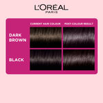 Buy L'Oreal Paris Casting Creme Gloss 200 Ebony Black 87.5g+72ml - Purplle