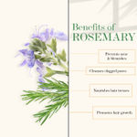 Buy Good Vibes Rosemary 100% Pure Essential Oil | Anti_Acne, Hair Strngthening | No GMO, No Synthetics, 100% Vegan (10 ml) - Purplle