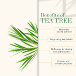 Buy Good Vibes Pure Essential Oil - Tea Tree (10 ml) - Purplle