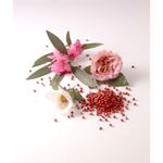 Buy Nina Ricci Nina Ricci Mademoiselle Ricci Eau De Parfum (50 ml) - Purplle