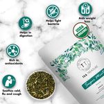 Buy Tea Treasure Super Mint Green Tea - 100 Gm - Antioxidants Rich, Refreshing Tea - Purplle