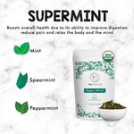 Buy Tea Treasure Super Mint Green Tea - 100 Gm - Antioxidants Rich, Refreshing Tea - Purplle