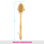 Buy Vega Natural Bristle Bath Brush NBA 1/3 - Purplle