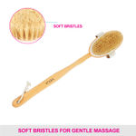 Buy Vega Natural Bristle Bath Brush NBA 1/3 - Purplle