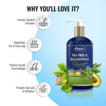 Buy St.Botanica Eucalyptus & Tea-Tree Invigorating Shampoo (300 ml) - Purplle