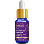 Buy St.Botanica Pure Himalayan Lavender Therapeutic Grade Essential Oil (15 ml) - Purplle