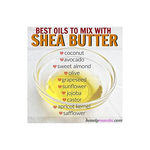 Buy Zenvista Best Natural Moisturiser Pure Shea Butter (50 ml) - Purplle