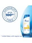Buy Head & Shoulders Lemon Fresh Shampoo (340 ml) - Purplle