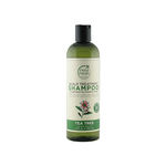 Buy Petal Fresh Pure Scalp Treatment Tea Tree Shampoo (355 ml) - Purplle