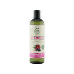 Buy Petal Fresh Pure Color Protection Pomegranate & Acai Shampoo (355 ml) - Purplle