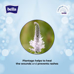 Buy Bella Panty Liner Herb With Pantago 60 Pcs - Purplle