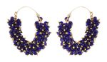 Buy Royal Bling Blue Pearl Hoop Earrings - Purplle