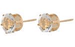 Buy Crunchy Fashion Golden Grace Dual Studs - Purplle