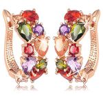 Buy Crunchy Fashion Sparkling Colors Flowerets Vine Swiss Cubic Zirconia Clip-On Earrings - Purplle