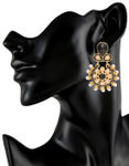 Buy Royal Bling Winsome Leafy Regal Black Earrings - Purplle