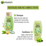 Buy Garnier Ultra Blends Conditioner, 5 Precious Herbs (75 ml) - Purplle