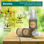 Buy Aryanveda 100% Organic Moroccan Argan Hair Oil - Purplle