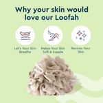 Buy GUBB Luxe Sponge Round Loofah, Bathing Scrubber for Body - Pebble - Purplle