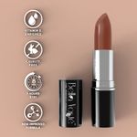 Buy Bella Voste Sheer Creme Lust Lipstick Antique Hunt 11 (4.2 gm) I Matte Finish I Cruelty Free IA Long Lasting Improved Formula I One Stroke Aplication I Highly Pi gmented - Purplle