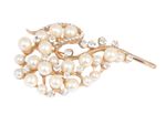 Buy Crunchy Fashion Embedded Pearl Brooch - Purplle