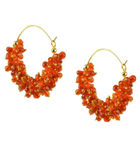 Buy Royal Bling Orange Pearl Hoop Earrings - Purplle