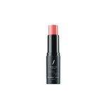 Buy Faces Canada Ultime Pro Blend Finity Stick Blush - Sweet Apricot 01 (10 g) - Purplle