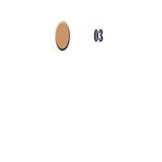Buy CVB Paris Dream Wonder Powder Spf 20 Shade-03 (12 g)(Compact Powder) - Purplle
