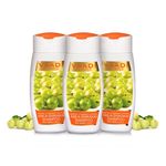 Buy Vaadi Herbals Amla Shikakai Hairfall & Damage Control Shampoo (110 ml x 3) (Pack of 3 ) - Purplle