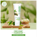 Buy Organic Harvest Face Wash - Oil Control (Sulphate Free) (100 ml) - Purplle