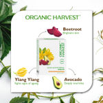 Buy Organic Harvest Gold - Age Reversal Make Over Facial Kit (50 ml) - Purplle