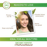 Buy Organic Harvest Hairfall Control Hair Oil: Castor Oil | For Men & Women | Vitamin E Oil for Hair Growth | Moisturizing Hair Oil | 100% American Certified Organic | Sulphate & Paraben-free | 50ml - Purplle