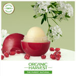 Buy Organic Harvest Moisturizing Lip Balm For Women With Pomegranate Extracts | For Dark Lips to Lighten - Purplle