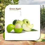 Buy Organic Harvest Moisturizing Lip Balm: Green Apple | For Women, Men & Kids| 100% American Certified Organic | Paraben & Sulphate-free|10gm - Purplle